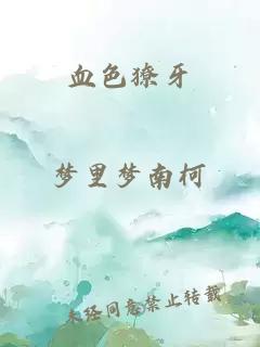 小说 亮剑