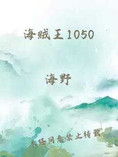 海贼王1050