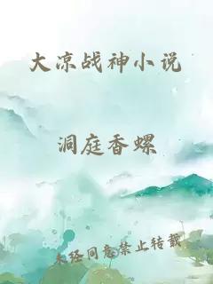 大凉战神小说