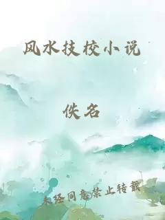 风水技校小说