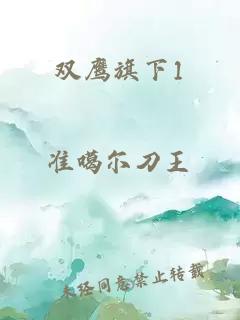 双鹰旗下1