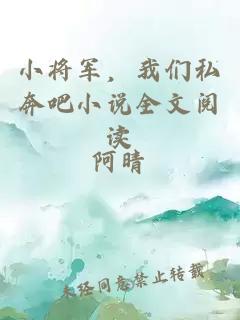 小将军，我们私奔吧小说全文阅读