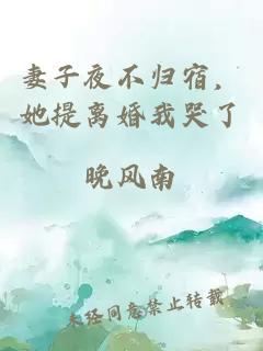 妻子夜不归宿，她提离婚我哭了