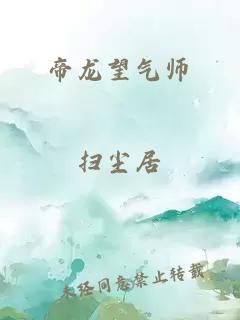 帝龙望气师