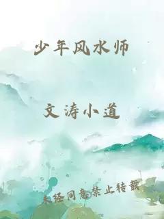 少年风水师