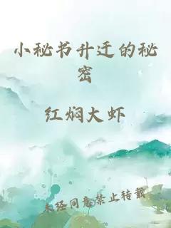 小秘书升迁的秘密