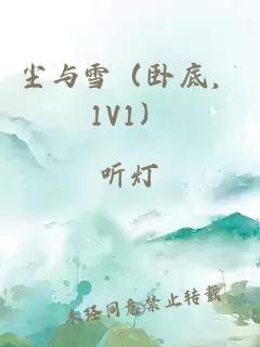 尘与雪（卧底，1V1）