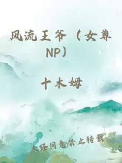 风流王爷（女尊NP）