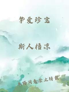 挚爱珍宝