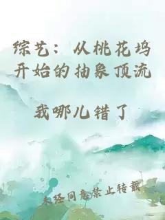 综艺：从桃花坞开始的抽象顶流