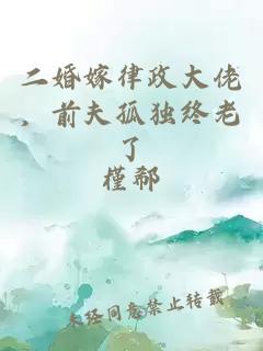 二婚嫁律政大佬，前夫孤独终老了