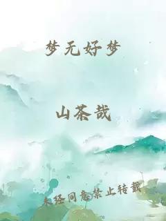 梦无好梦