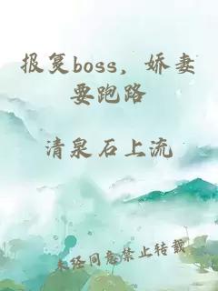 报复boss，娇妻要跑路