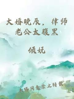 大婚晚辰，律师老公太腹黑